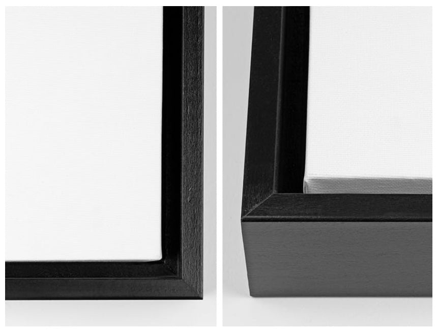 The Monarch, Large (Framed)